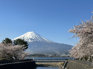 &#x{11:F8E2};なんでもいｰから&#x{11:F8E2};