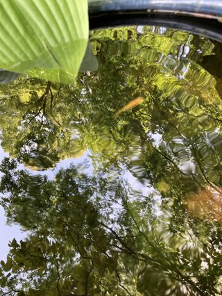 &#x{11:F8E2};なんでもいｰから&#x{11:F8E2};