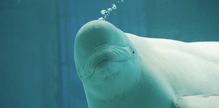 コスメライターを語ろう