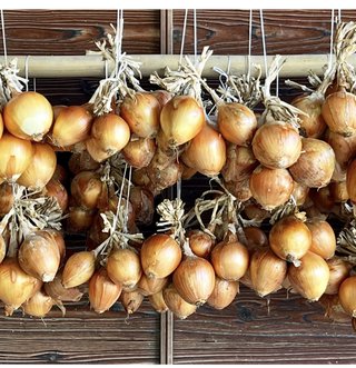 新玉ねぎ20キロ
