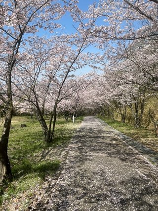 &#x{11:F8E2};なんでもいｰから&#x{11:F8E2};