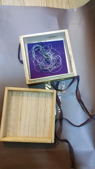 めちゃくちゃ気持ち悪い物を拾ったんやけど何これ？