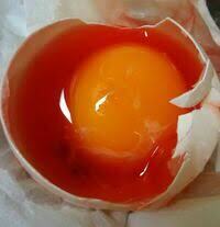 卵10個パック買って１個に血が混じってたどうする？