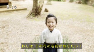 ２０２３年度前期連続テレビ小説【らんまん】
