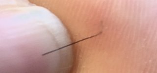 なんかどうでもいいこと聞かせてくれない？