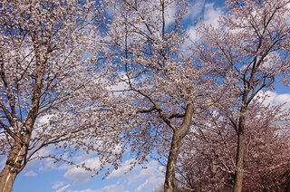 ママスタNo.1釣り師だけど