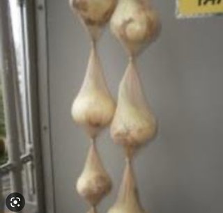 新玉ねぎ20キロ