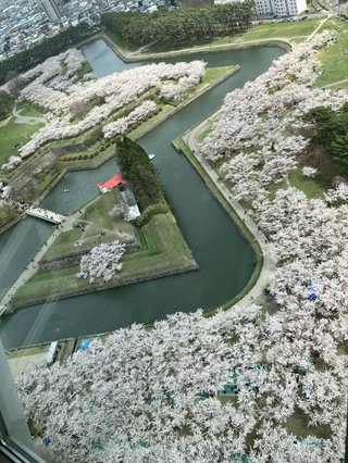 旦那が新幹線で函館まで行きたがってる