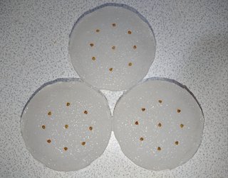 ＊ミニトマトの再生栽培＊