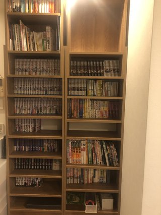 本棚組み立てて整理してた