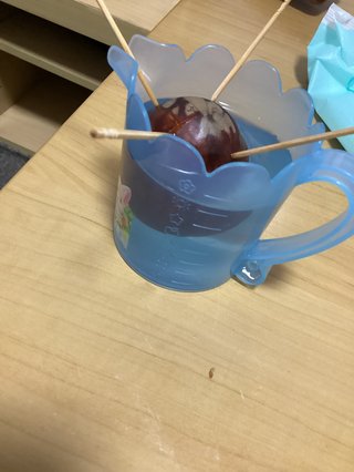 アボカドの中の種を土に埋めたら