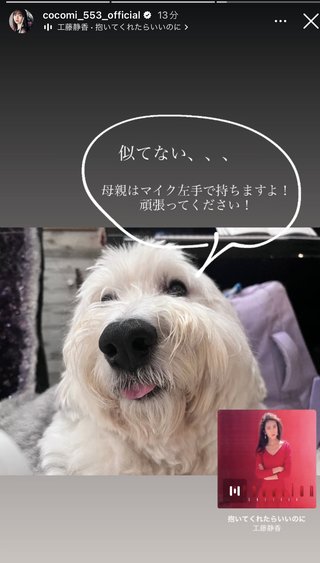 フジ【爆笑そっくりものまね紅白歌合戦スペシャル】