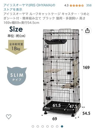 猫について何でもどうぞ【ねこ総合】