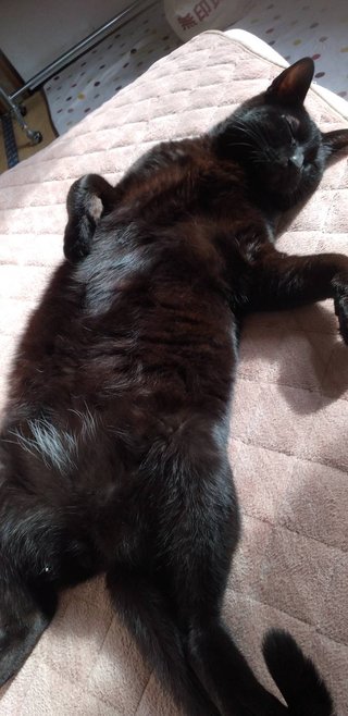 &#x{11:F8E2};なんでもいｰから&#x{11:F8E2};