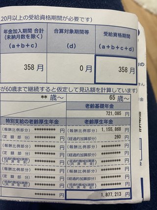 ねんきん定期便を見て