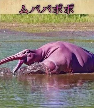 ムババポポ