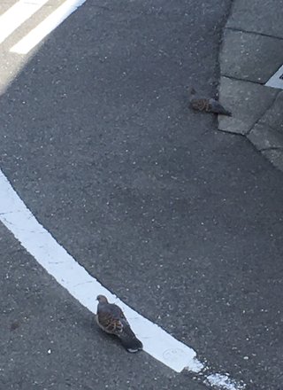 &#x{11:F8E2};なんでもいｰから&#x{11:F8E2};