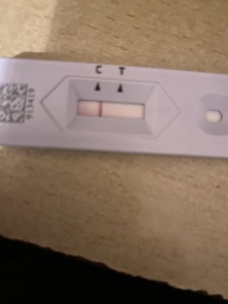 どうでもいい報告してください