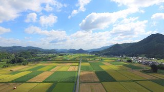 ５歳女の子が田植え機から転落し重傷…田植えを終えて家に帰る途中　兵庫・丹波篠山市