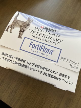 猫について何でもどうぞ【ねこ総合】