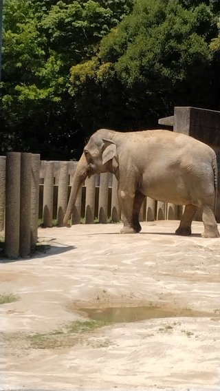 &#x{11:F8E2};なんでもいｰから&#x{11:F8E2};