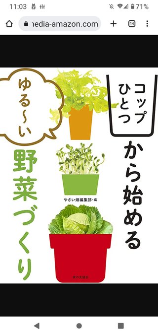 ハーブの水耕栽培をしたいのですが