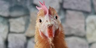 中2男子母親に素手で殴られ、警察官に自ら通報