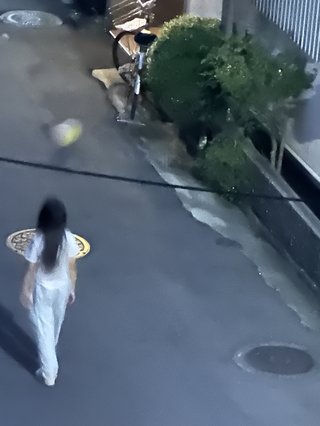 道路族が嫌いな人