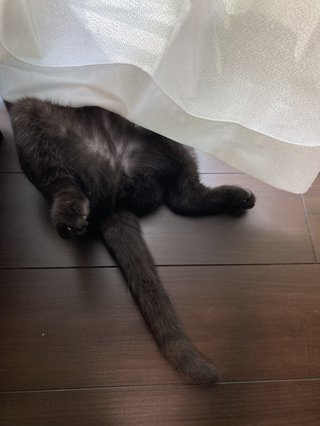 なんかどうでもいいこと聞かせてくれない？