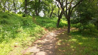 &#x{11:F8E2};なんでもいｰから&#x{11:F8E2};