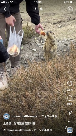 &#x{11:F8E2};なんでもいｰから&#x{11:F8E2};