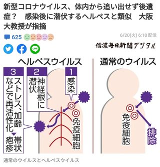 新型コロナウイルス、体内から追い出せず後遺症？　感染後に潜伏するヘルペスと類似　大阪大教授が指摘