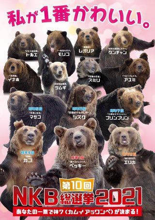 【クマ】「ギョーザ屋の辺りにヒグマ」　札幌市手稲区の国道5号