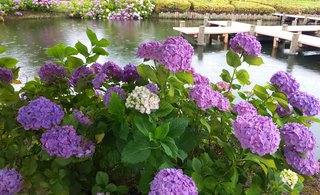 &#x{11:F8E2};なんでもいｰから&#x{11:F8E2};