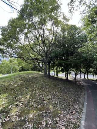 なんかどうでもいいこと聞かせてくれない？