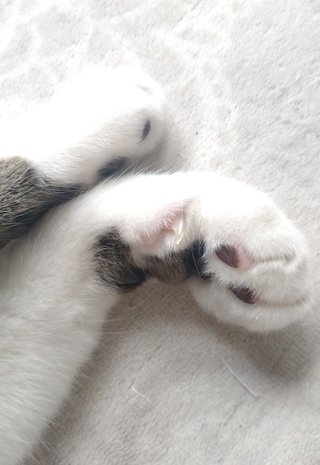 ネイルしようかな何色がいいかな