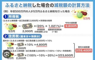 ふるさと納税詳しい人いる？