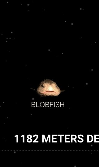 酸素は残り約40時間か　タイタニック号の残骸探索で潜水艇が不明