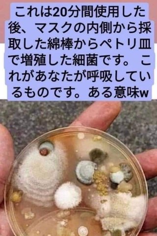 スーパーの店員はいつまでマスクしてるの？