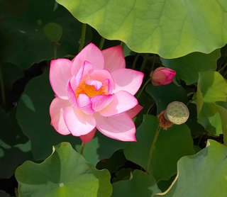 &#x{11:F8E2};なんでもいｰから&#x{11:F8E2};