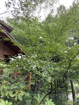 卍★ 閻魔道沙羅の刹堂 ★卍　