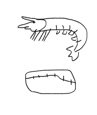 エビフライ、とんかつ