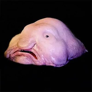 酸素は残り約40時間か　タイタニック号の残骸探索で潜水艇が不明