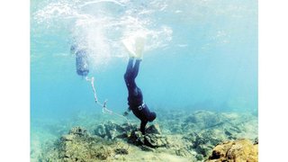 海女が１０年余りで半減、後継者不足に不漁が追い打ち…「サラリーマンより高収入」は遠い昔