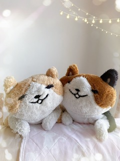 &#x{11:F8E2};なんでもいｰから&#x{11:F8E2};