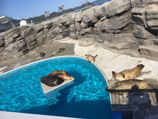 #丁寧じゃない暮らし #意識低め