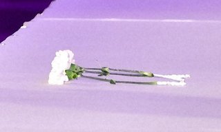 性被害告発した女優水井真希さん、姉がツイッターで死去を報告「永眠いたしました」