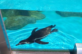 &#x{11:F8E2};なんでもいｰから&#x{11:F8E2};