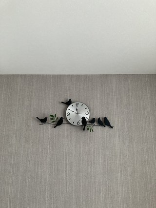 鳥好きさん、いませんか？