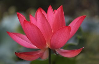 卍★ 閻魔道沙羅の刹堂 ★卍　